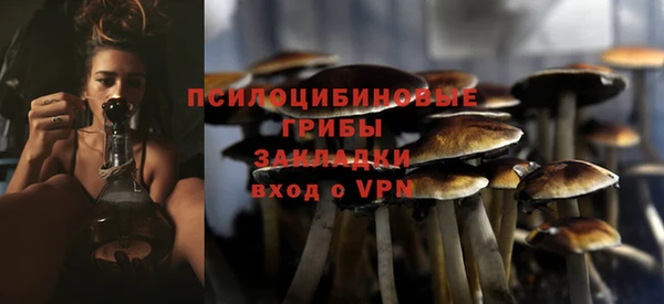 крисы Алзамай