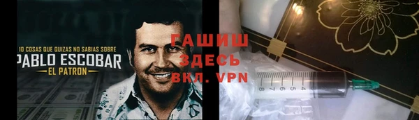крисы Алзамай