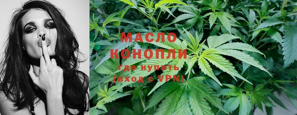 крисы Алзамай